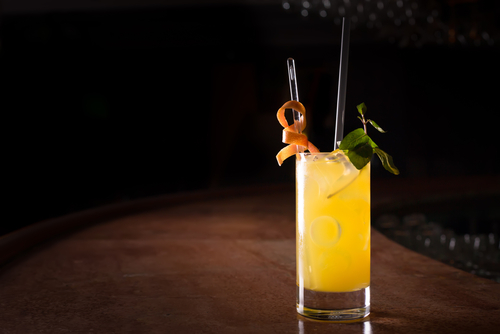 Ekaterina_Molchanova/Shutterstock.com