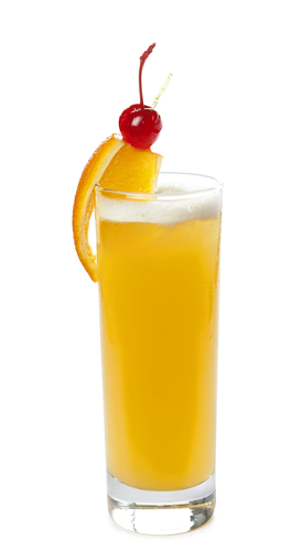 artcasta/Shutterstock.com