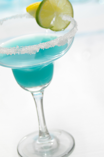 April Turner /Shutterstock.com